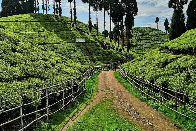 The Land Mark Tour (Nautical Day Darjeeling To Mirik crusade) - Your Road Trip Loop: A Scenery-First Itinerary