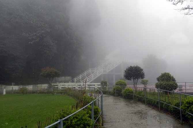 Tiger Hill Darjeeling Nature Walk (3 Hours Guided Trekking Experience) - Price and value: what $23 gets you (and what it doesn’t)