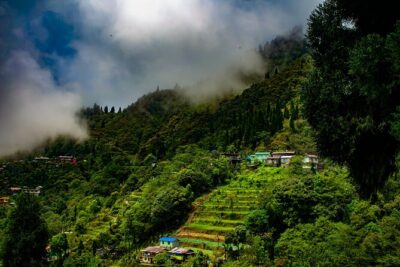 Tiger Hill Darjeeling Nature Walk (3 Hours Guided Trekking Experience) - Stop 2: the Tiger Hill trek toward Everest and Kanchenjunga