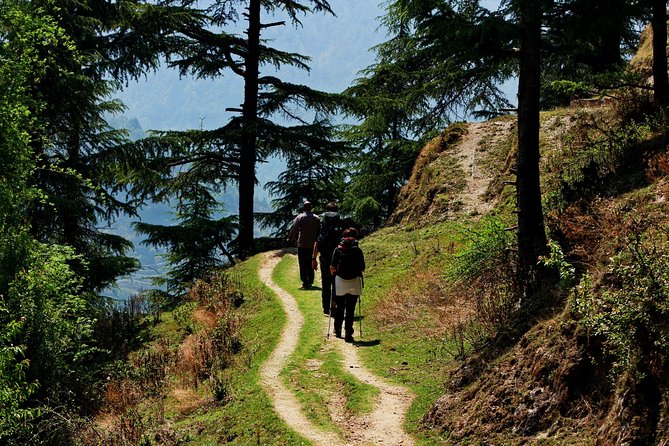 Trek's around Mussoorie - Key highlights worth marking on your plan