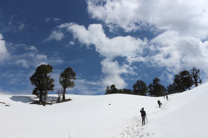 Trek's around Mussoorie - Benog Wildlife Sanctuary Entrance Included and the Mountain Quail Search