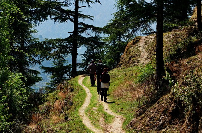 Trek's around Mussoorie - The 360° Viewpoint: Where Panoramas Beat Busy Streets