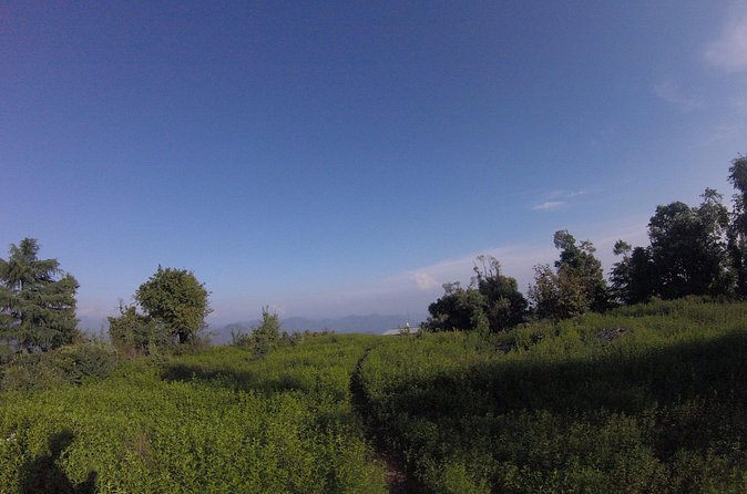 Trek's around Mussoorie - Price and Value: What $34 Actually Covers