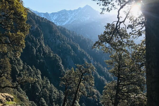 Triund Trek & Snow Line Trek - Camping at Triund: What the Provided Gear Really Means