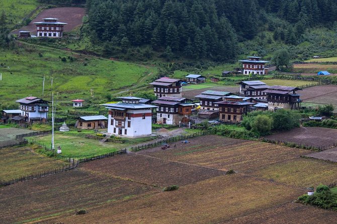 Western Bhutan Tour-7 Days - Key Things I’d Plan For